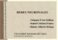 REDES NEURONALES PowerPoint PPT Presentation