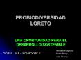 PROBIODIVERSIDAD LORETO PowerPoint PPT Presentation