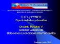 DIRECCION GENERAL DE RELACIONES ECONOMICAS INTERNACIONALES MINISTERIO DE RELACIONES EXTERIORES PowerPoint PPT Presentation