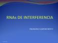 RNAs DE INTERFERENCIA PowerPoint PPT Presentation