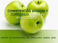 COMPETENCIAS BSICAS Y CURRCULO' ALGUNAS IMPLICACIONES PowerPoint PPT Presentation