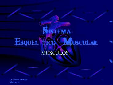 SISTEMA ESQUELTICO MUSCULAR'