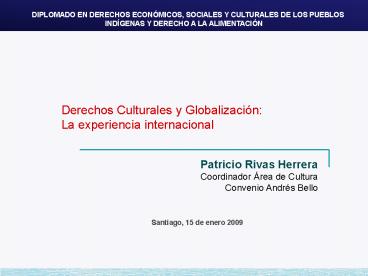 Derechos Culturales y Globalizacin: La experiencia internacional