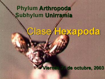 Viernes 31 de octubre, 2003