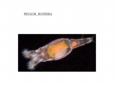 Sin ttulo de diapositiva