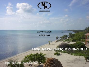 ABOG' MARIO ENRIQUE CHINCHILLA'