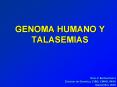 GENOMA HUMANO Y TALASEMIAS PowerPoint PPT Presentation