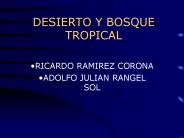 DESIERTO Y BOSQUE TROPICAL