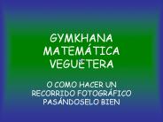 GYMKHANA MATEMTICA VEGUETERA