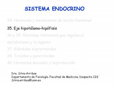 Diapositiva 1