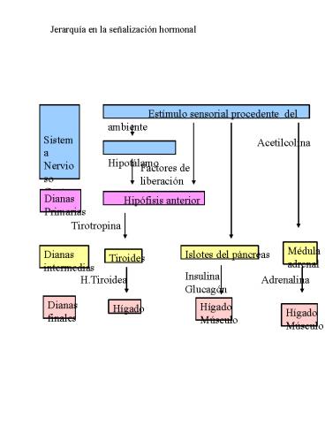 Sin ttulo de diapositiva