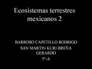 Ecosistemas terrestres mexicanos 2