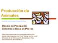 Produccin de Animales PowerPoint PPT Presentation