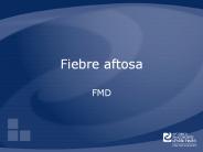 Fiebre aftosa