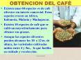 OBTENCION DEL CAF PowerPoint PPT Presentation