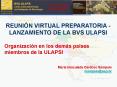 REUNIN VIRTUAL PREPARATORIA LANZAMIENTO DE LA BVS ULAPSI PowerPoint PPT Presentation