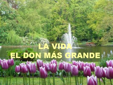 LA VIDA EL DON MS GRANDE