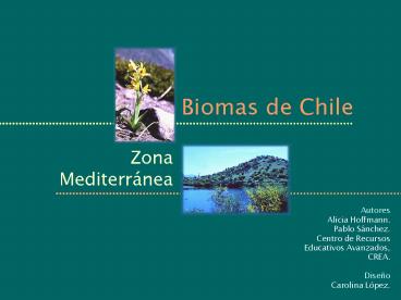 Presentacin de PowerPoint