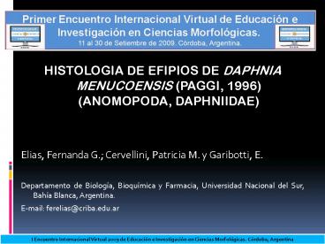 HISTOLOGIA DE EFIPIOS DE DAPHNIA MENUCOENSIS PAGGI, 1996 ANOMOPODA, DAPHNIIDAE