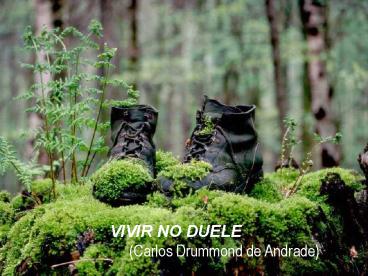 Vivir no duele