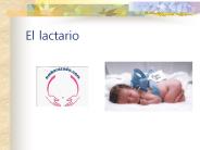 El lactario
