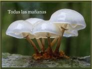 Todas las ma