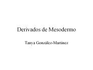 Derivados de Mesodermo