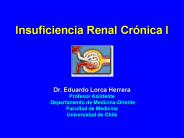 Insuficiencia Renal Crnica I
