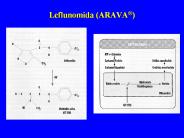 Leflunomida (ARAVA?)