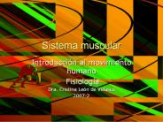 Sistema muscular