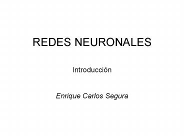 REDES NEURONALES