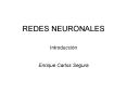 REDES NEURONALES PowerPoint PPT Presentation