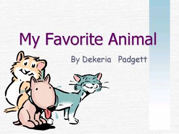 My Favorite Animal
