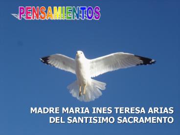 MADRE MARIA INES TERESA ARIAS DEL SANTISIMO SACRAMENTO