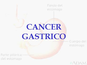 Presentacin de PowerPoint