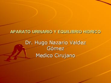 APARATO URINARIO Y EQUILIBRIO HIDRICO