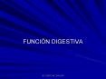 FUNCIN DIGESTIVA PowerPoint PPT Presentation