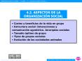 4'2' ASPECTOS DE LA ORGANIZACIN SOCIAL PowerPoint PPT Presentation