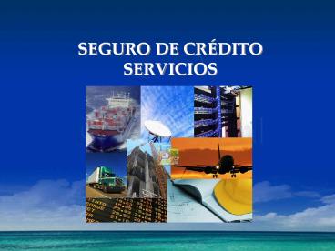 SEGURO DE CRDITO SERVICIOS