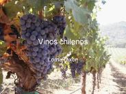 Vinos chilenos