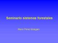 Seminario sistemas forestales PowerPoint PPT Presentation