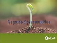 Diapositiva 1