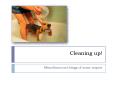 Cleaning up PowerPoint PPT Presentation