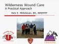 Wilderness Wound Care A Practical Approach PowerPoint PPT Presentation