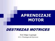 APRENDIZAJE%20MOTOR