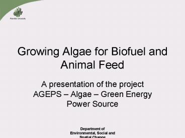 Growing Algae for Biofuel and Animal Feed