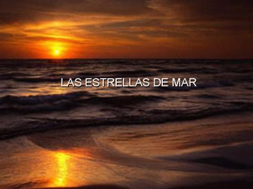 LAS ESTRELLAS DE MAR