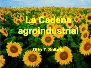 La Cadena agroindustrial