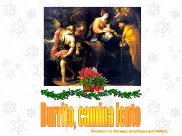 BURRITO, CAMINA LENTO