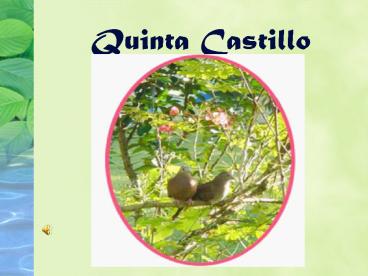 Quinta Castillo